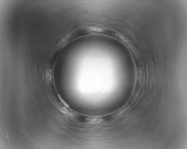 X0000076330621200609291122
