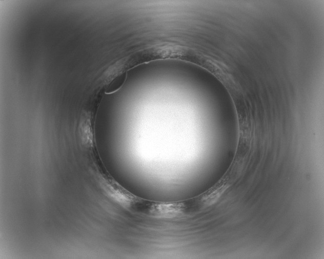 X0000076330622200609291122