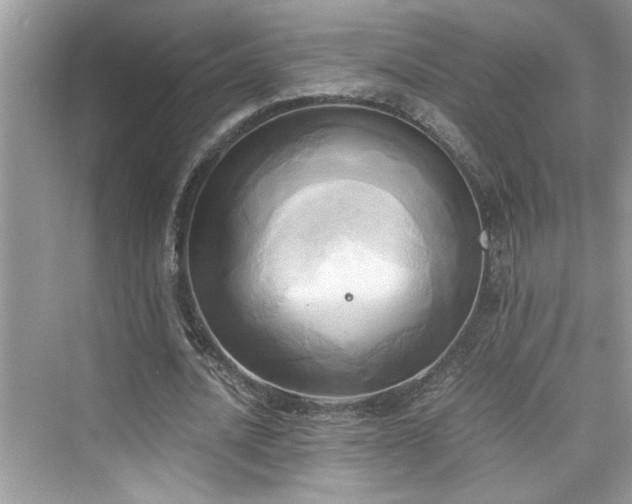 X0000076330628200609291121