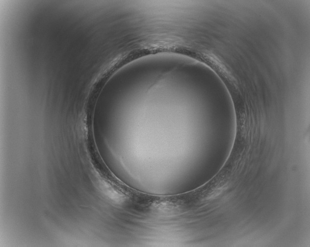X0000076330634200609291121