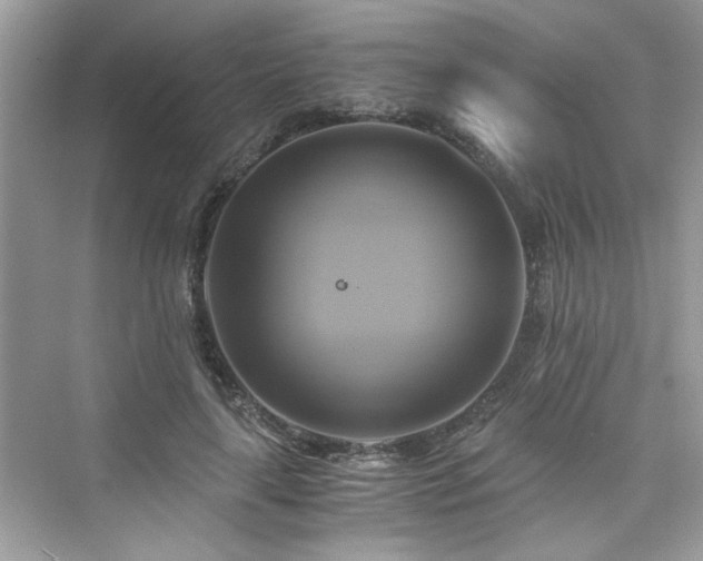X0000076330643200609291121