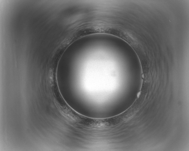 X0000076330646200609291121