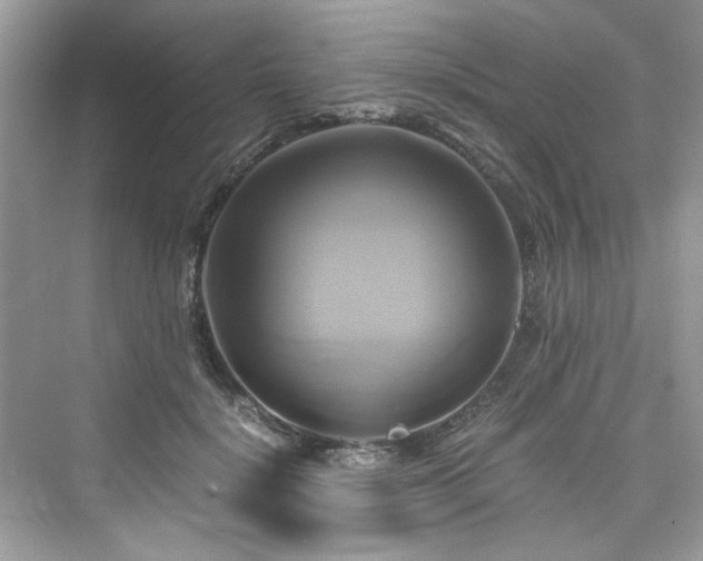 X0000076330652200609291121