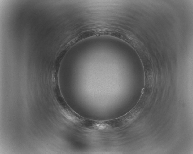 X0000076330654200609291121