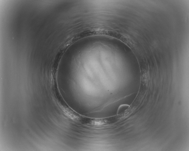 X0000076330662200609291121