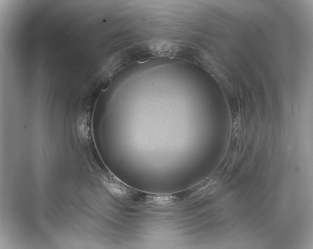 X0000076330671200609291122