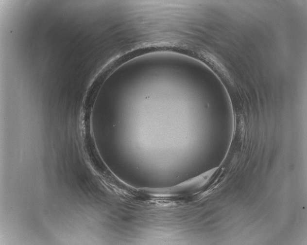 X0000076330676200609291121