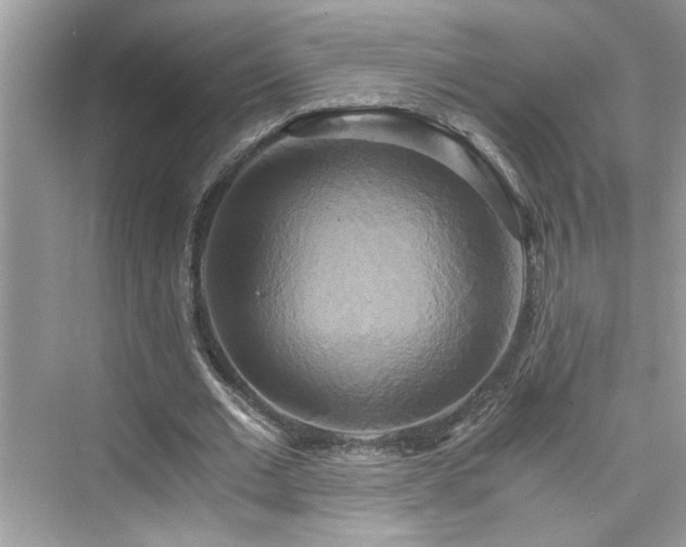X0000076330677200609291121