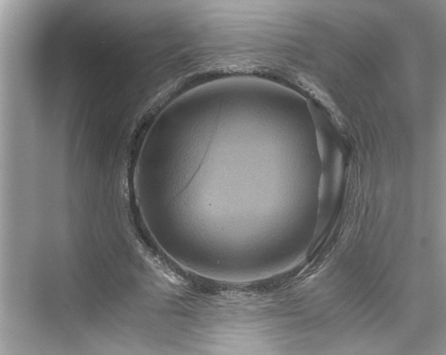 X0000076330681200609291121