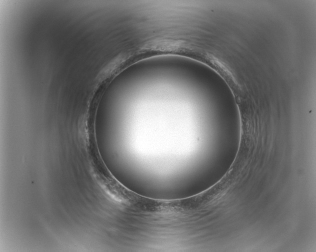 X0000076330682200609291121