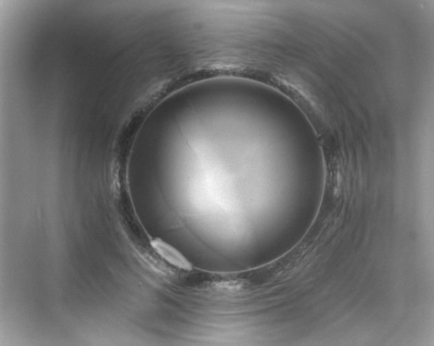 X0000076330692200609291120