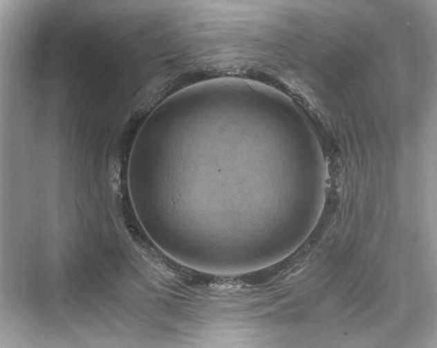 X0000076330693200609291120