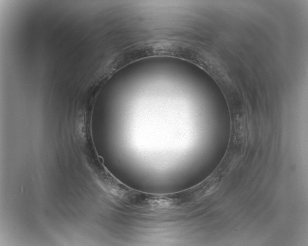 X0000076330698200609291120