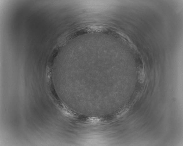 X0000076330701200609291120