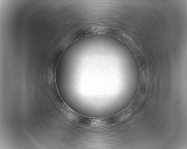 X0000076330705200609291120