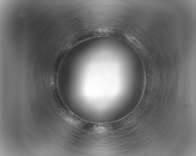 X0000076330706200609291120