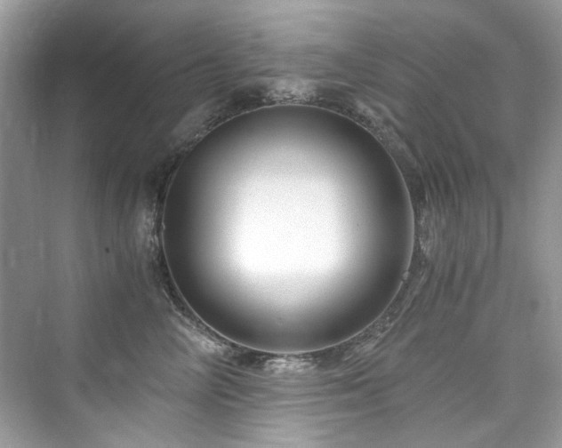 X0000076330714200609291120