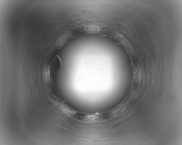 X0000076330717200609291120
