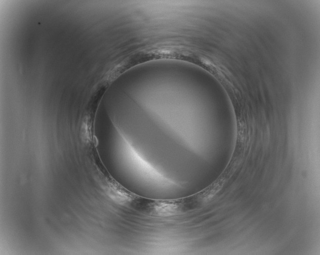 X0000076330718200609291120