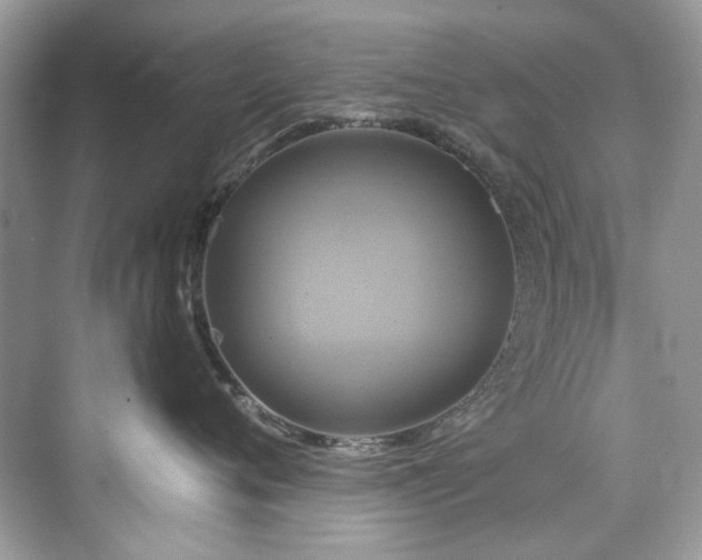 X0000076330720200609291120
