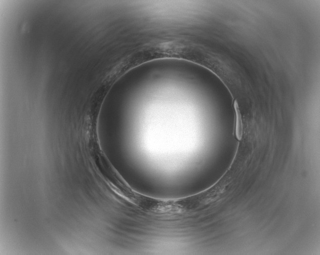 X0000076330752200609291120