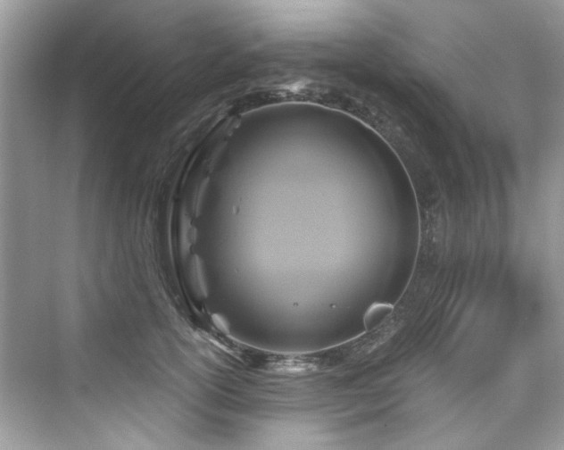 X0000076330754200609291120