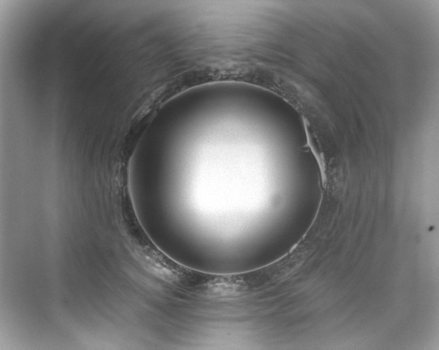 X0000076330756200609291120