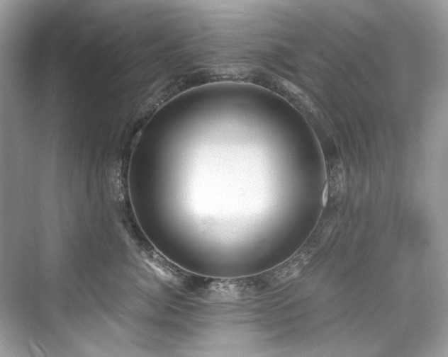 X0000076330764200609291120