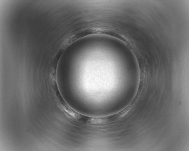 X0000076330766200609291120