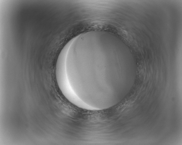 X0000076330769200609291119