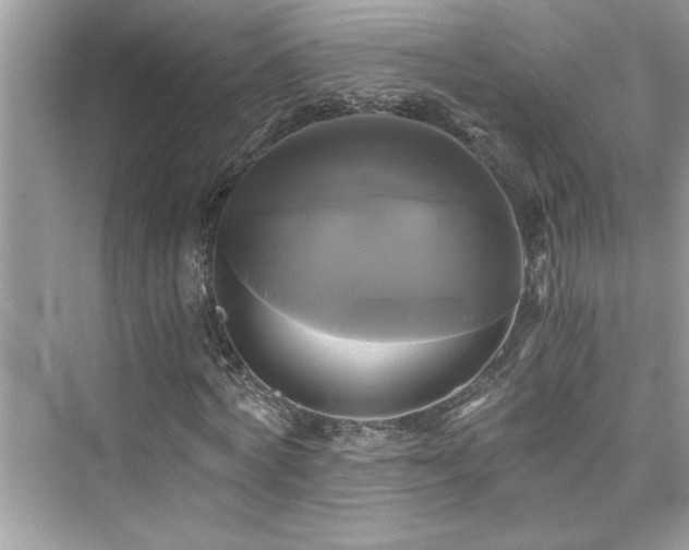 X0000076330772200609291119