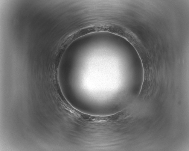 X0000076330773200609291119