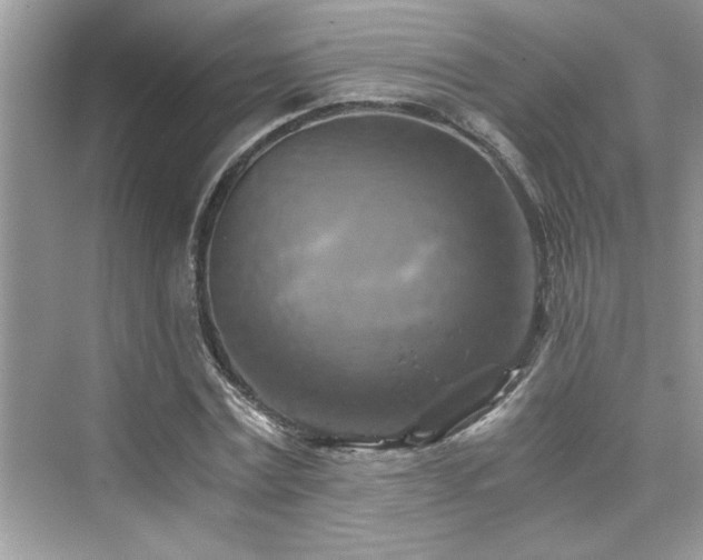 X0000076330779200609291119