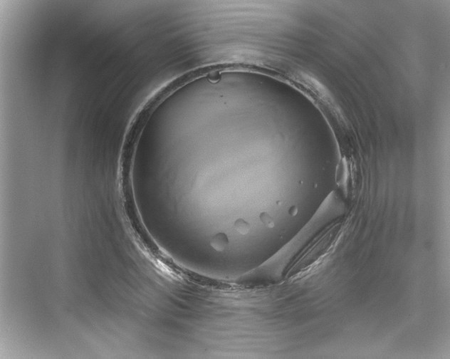 X0000076330780200609291119