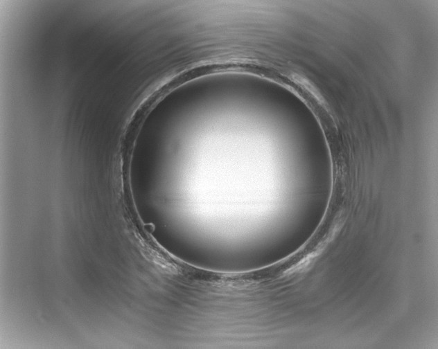 X0000076330781200609291119