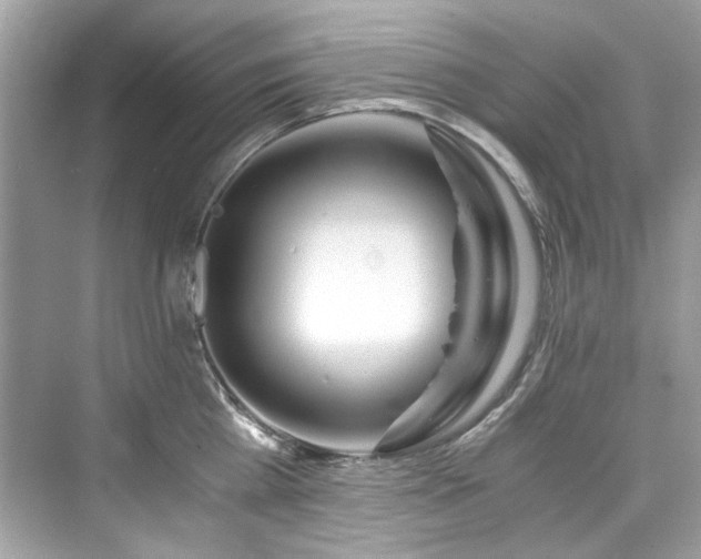 X0000076330809200609291118
