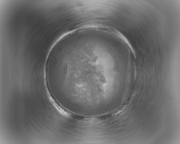 X0000076330811200609291118