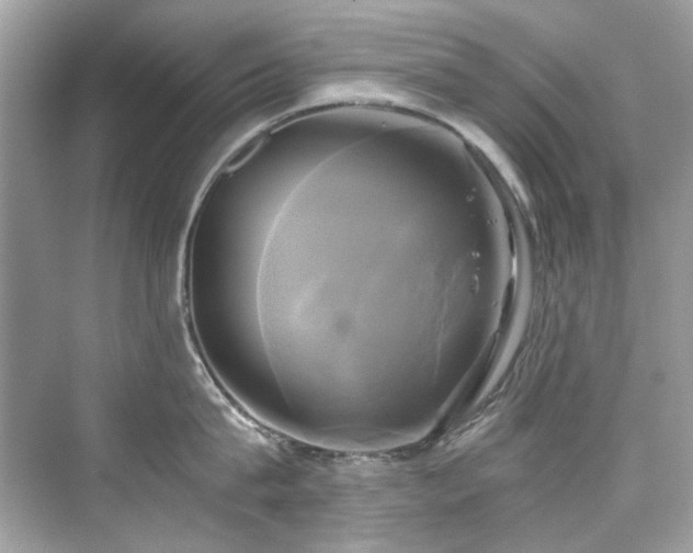 X0000076330815200609291118