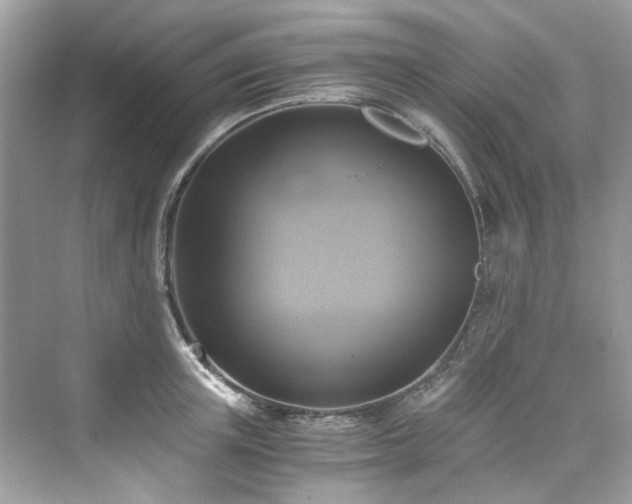 X0000076330851200609291118