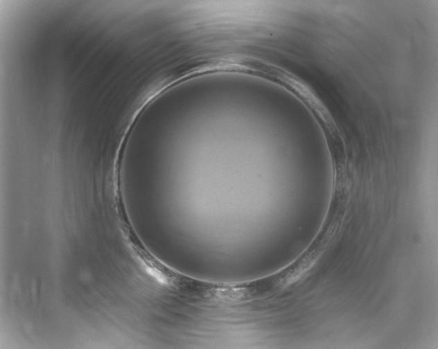 X0000076330858200609291118