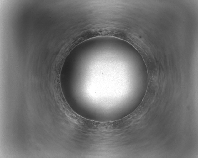 X0000076330865200609291117