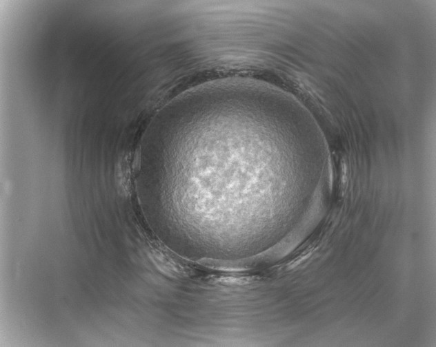 X0000076330868200609291117