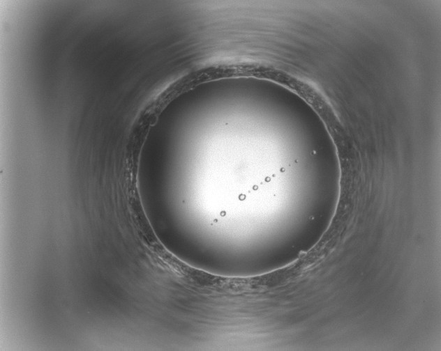 X0000076330871200609291117