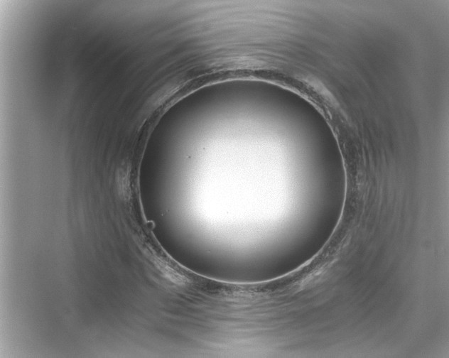 X0000076330873200609291117