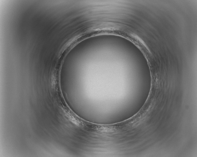 X0000076330874200609291117