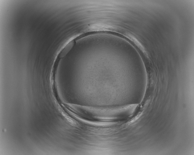 X0000076330885200609291117