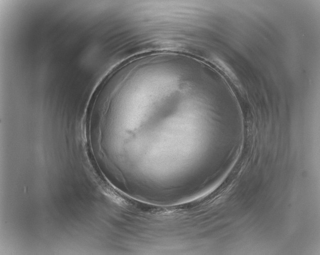 X0000076330891200609291117
