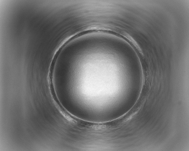 X0000076330893200609291117