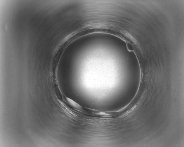 X0000076330922200609291116