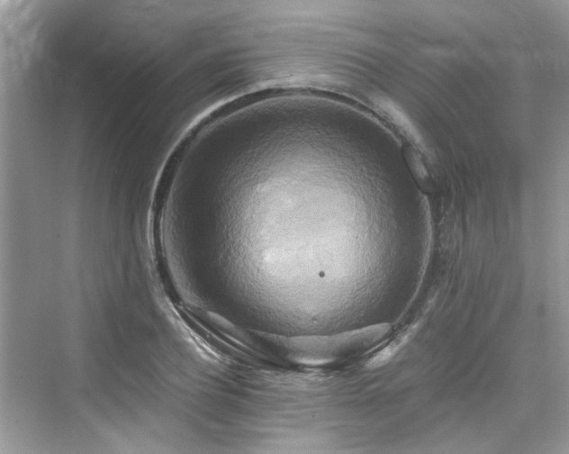 X0000076330932200609291116
